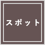スポット