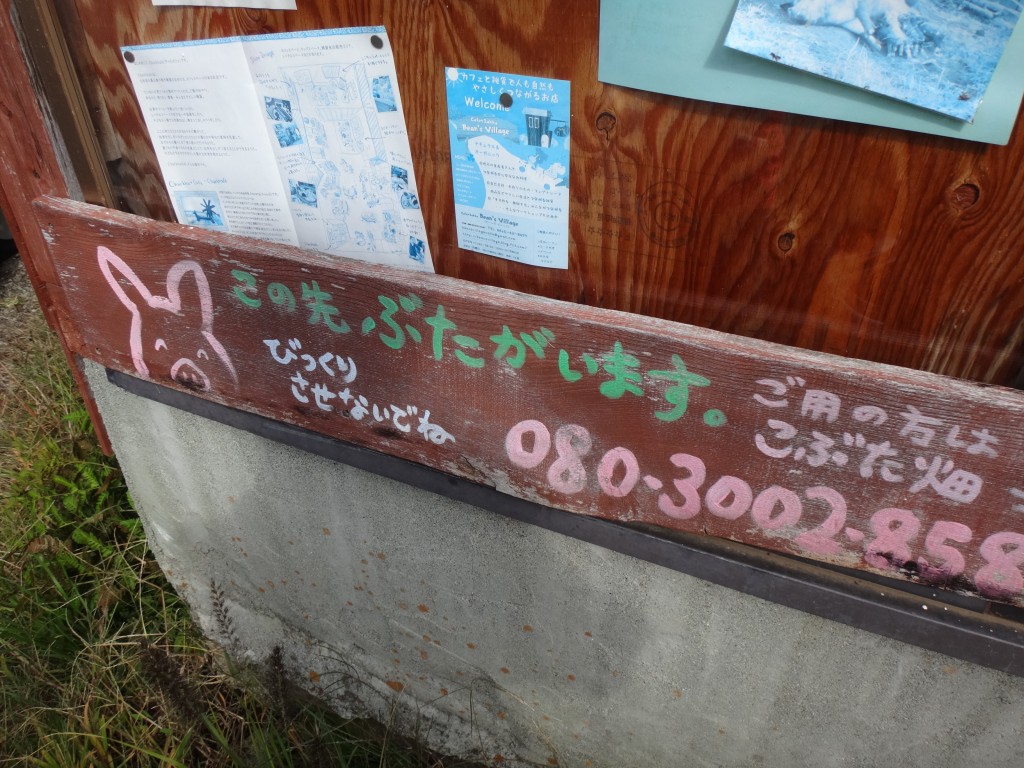 DSC02971