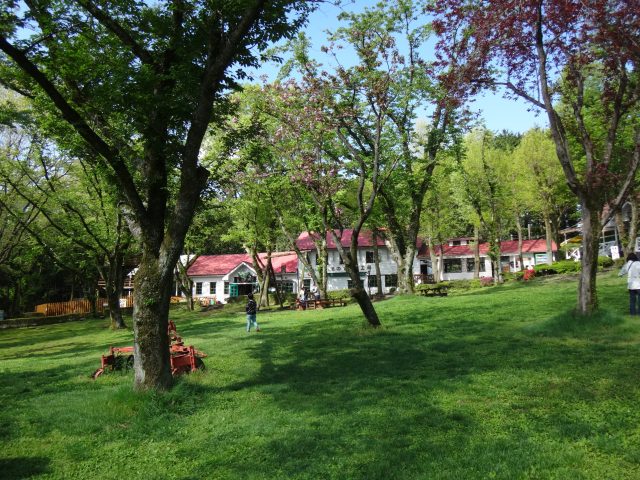 DSC03228
