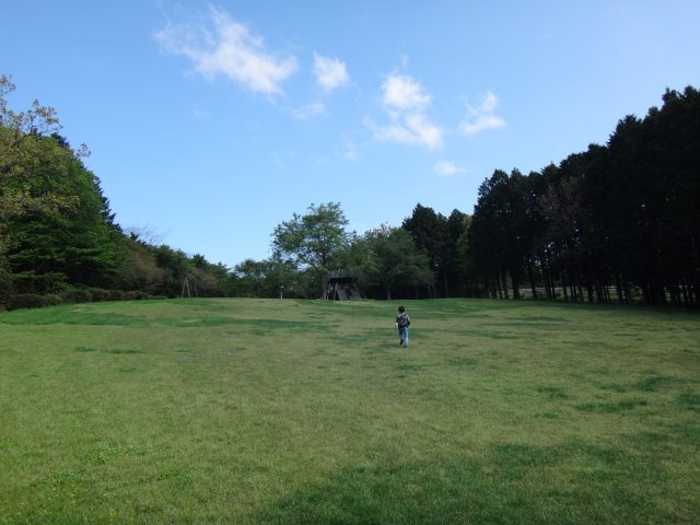 DSC03231
