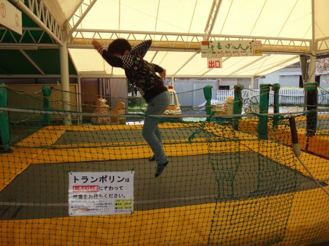 DSC03238