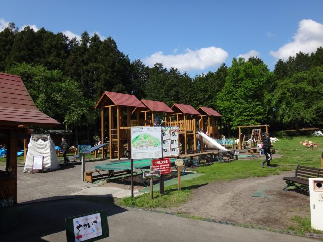 DSC03240