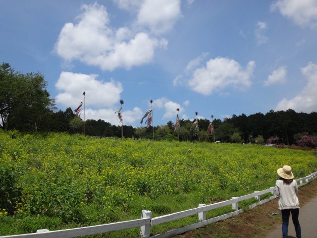 DSC03261