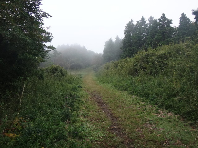 dsc03990