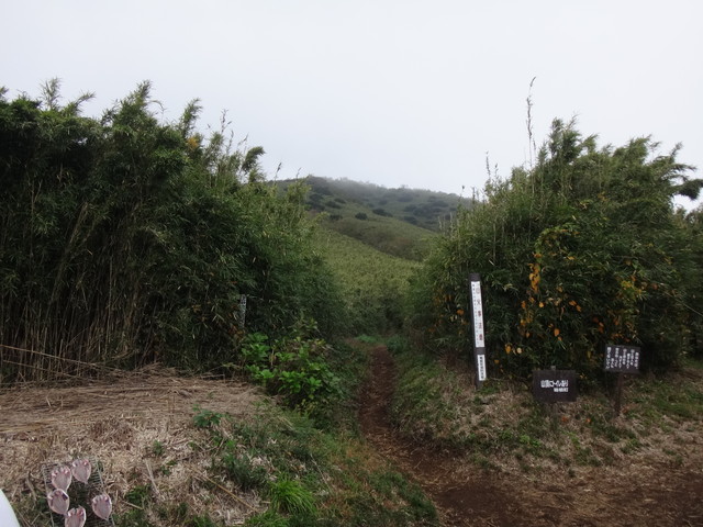 dsc04012
