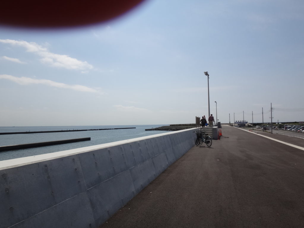 平塚から湘南海岸までの往復ランで夏の最後の走り込み 湘南ビーチラン すずき会計 会社設立 節税 相続に強い小田原の税理士